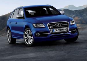 Audi SQ5 TDI 2013 года  (WW)